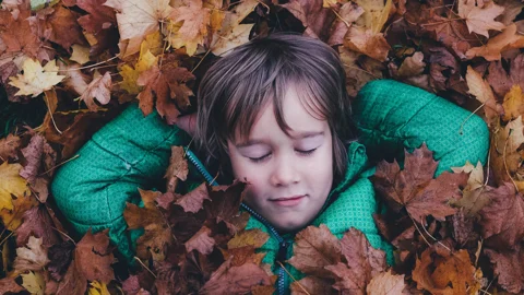 Annie_Spratt_Boy_In_Leaves_B.jpg