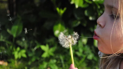 pexels.com_girlwithdandelion_B.jpg