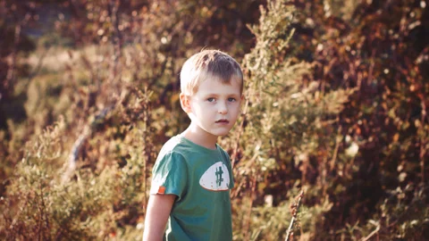 COLOURBOX15267110.jpg