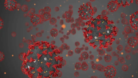 coronavirus2.gif