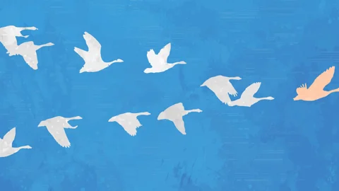 fagligfrontlober1128x600.png